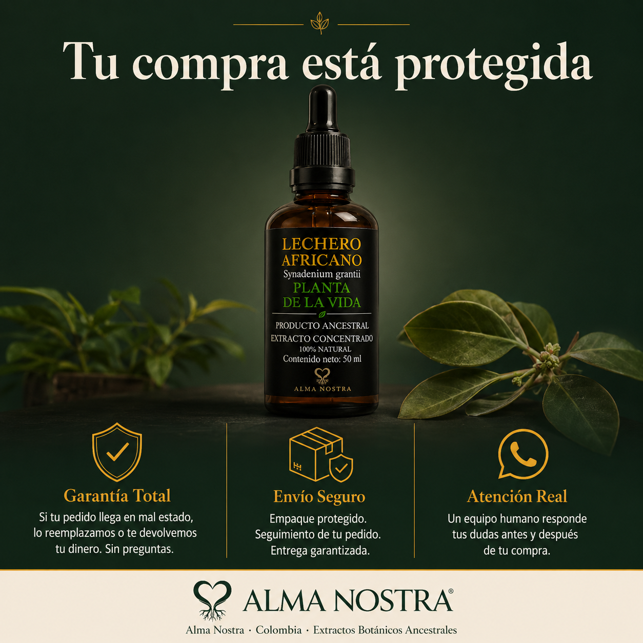 Lechero Africano Extracto Natural