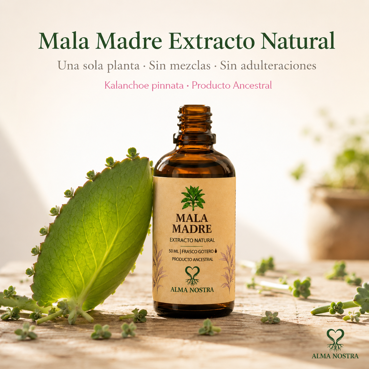 Mala Madre Extracto Natural