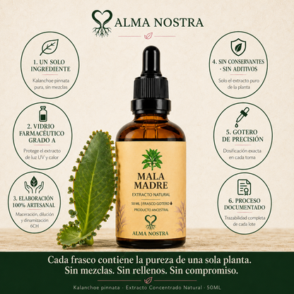 Mala Madre Extracto Natural