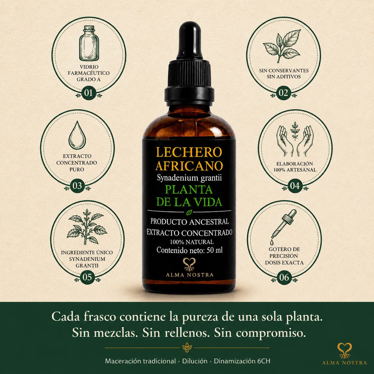 Lechero Africano Extracto Natural