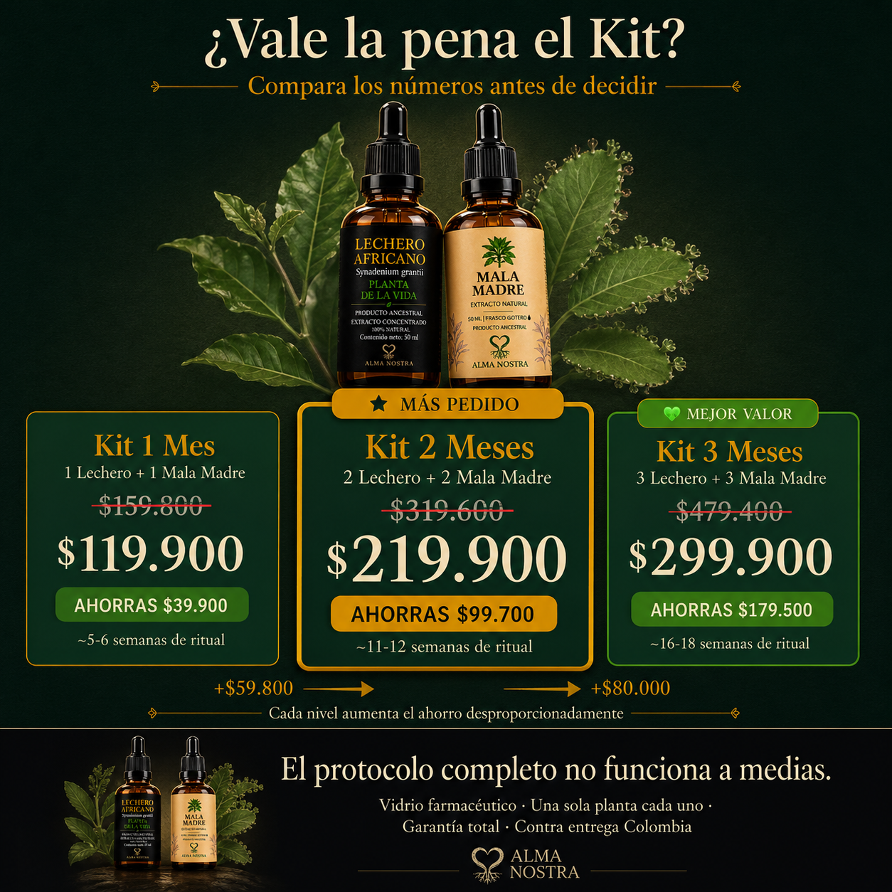 Kit Ancestral