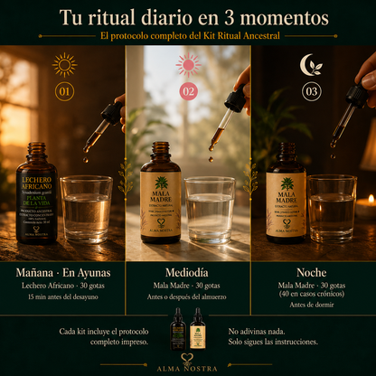 Kit Ancestral