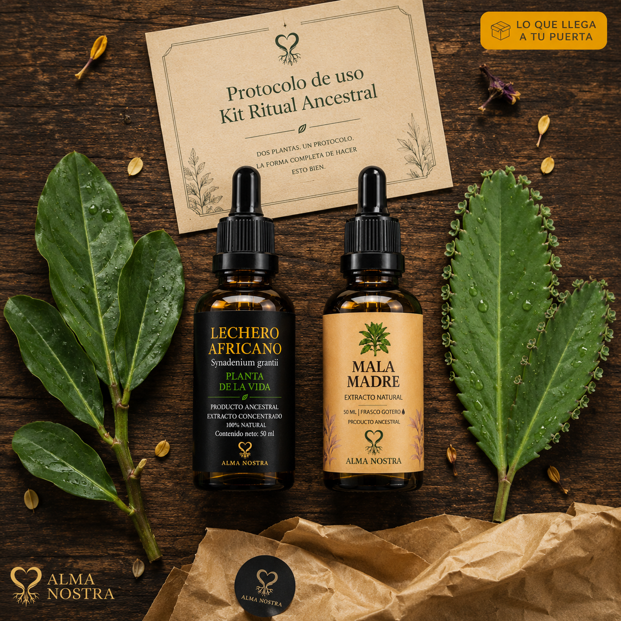 Kit Ancestral