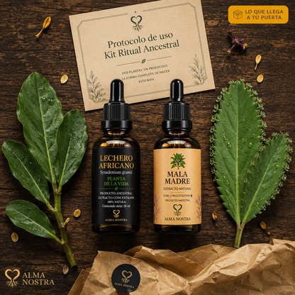 Kit Ancestral