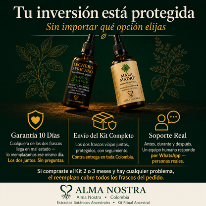 Kit Ancestral