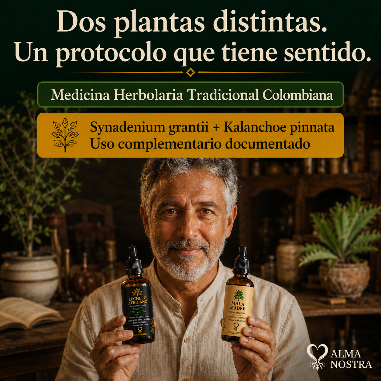Kit Ancestral