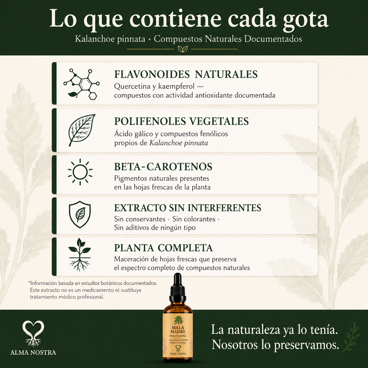 Mala Madre Extracto Natural