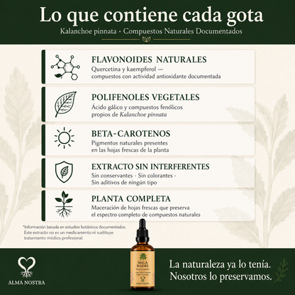 Mala Madre Extracto Natural